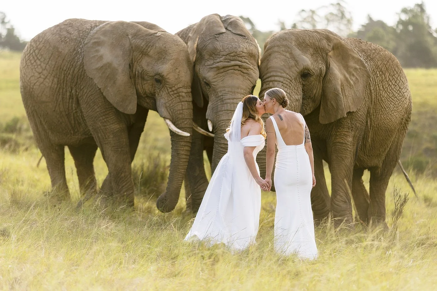 34_Wedding-Elopement-with-Kim-and-Kylie-at-Knysna-Elephant-Park-in-the-Garden-Route.jpg
