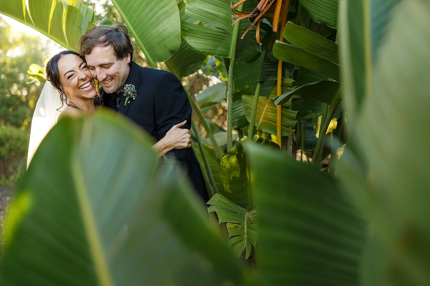 Wedding Couple laughing in between green plants.