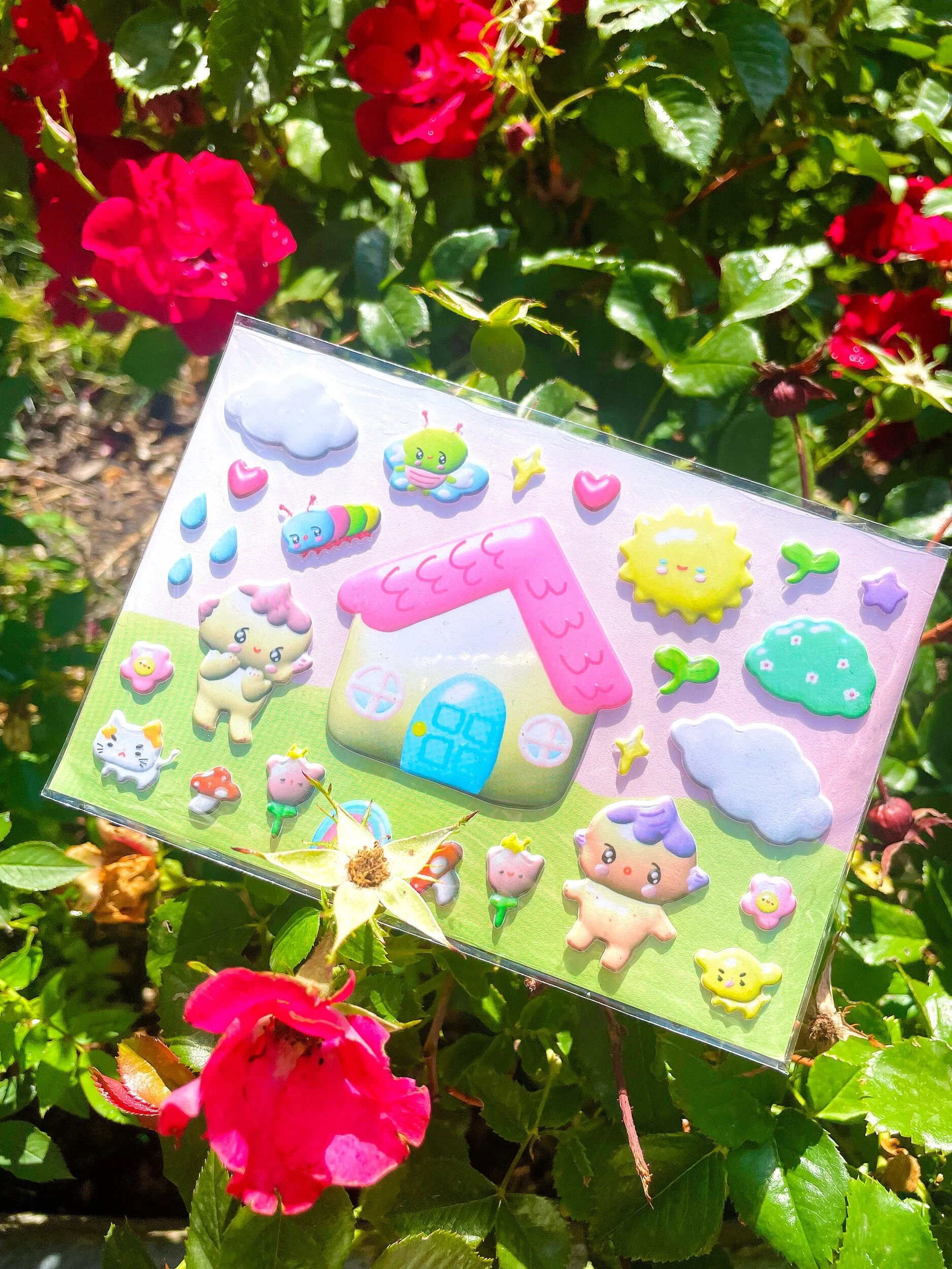 95389A60-2E8F-4792-9FA5-88EF2EA6183A