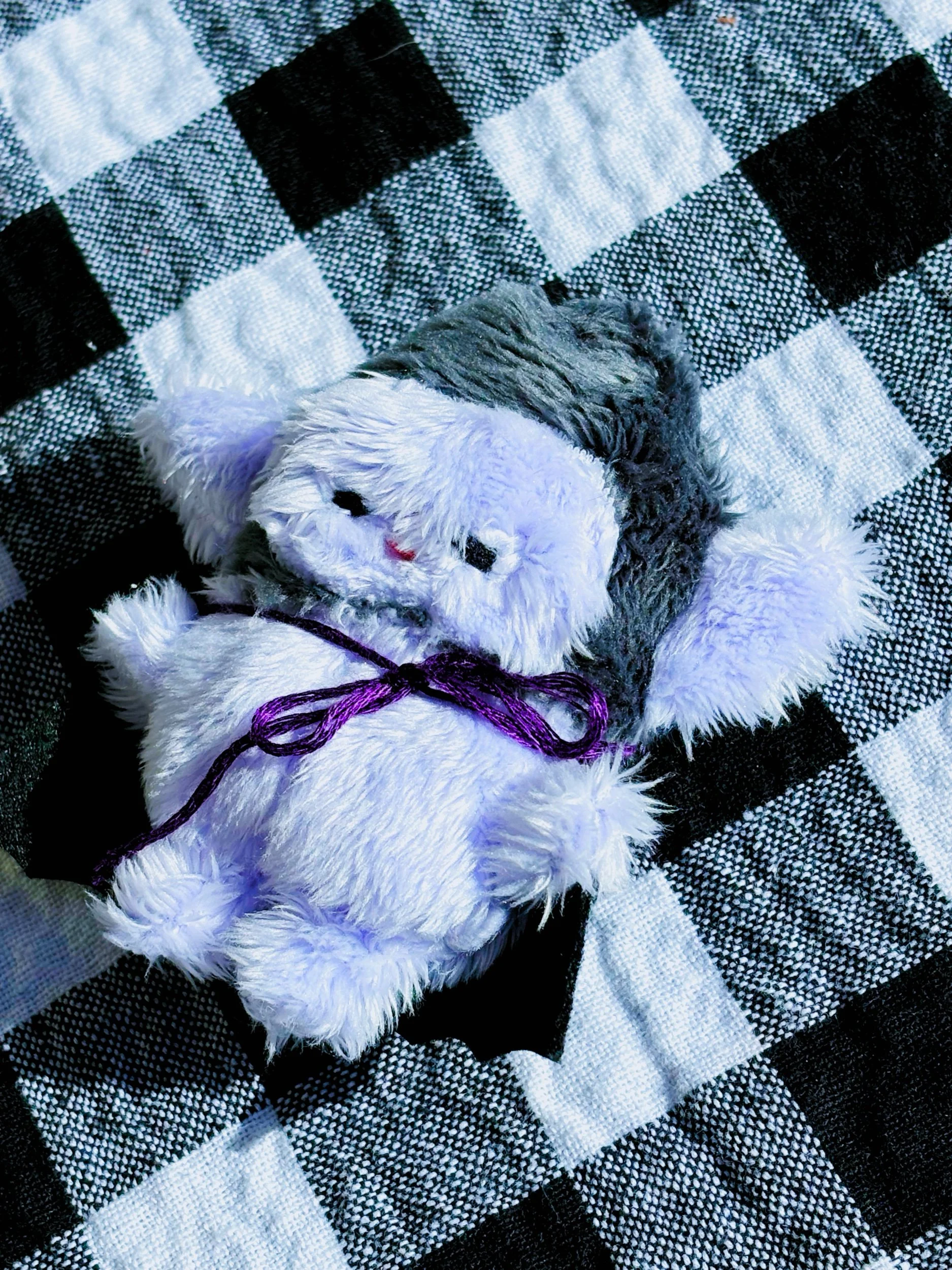 B21234A3-8843-42C9-A7A0-6BE1A7217348.jpeg