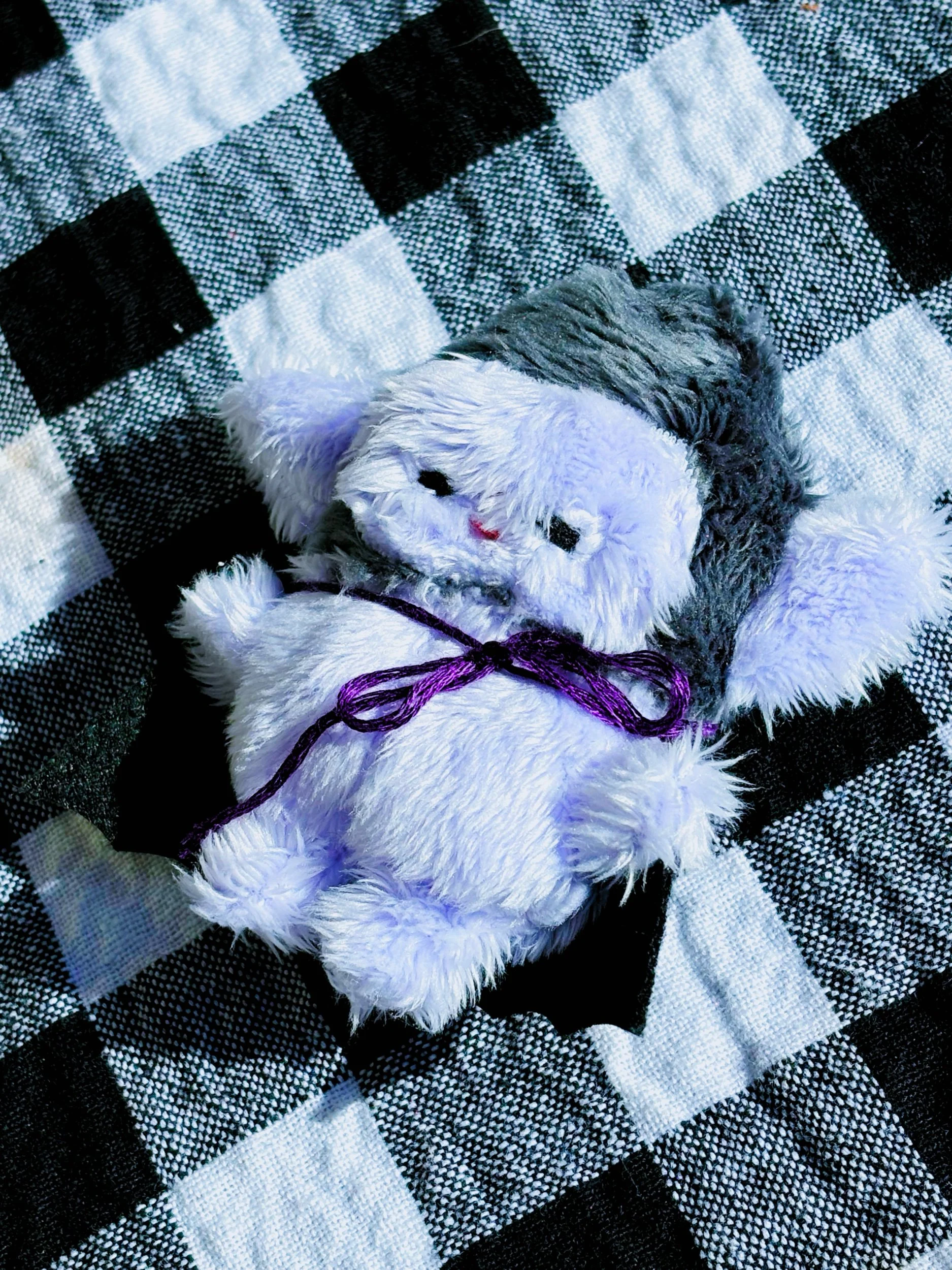 505C2DC3-31B8-4E36-B0A3-B12EB882BFD4.jpeg