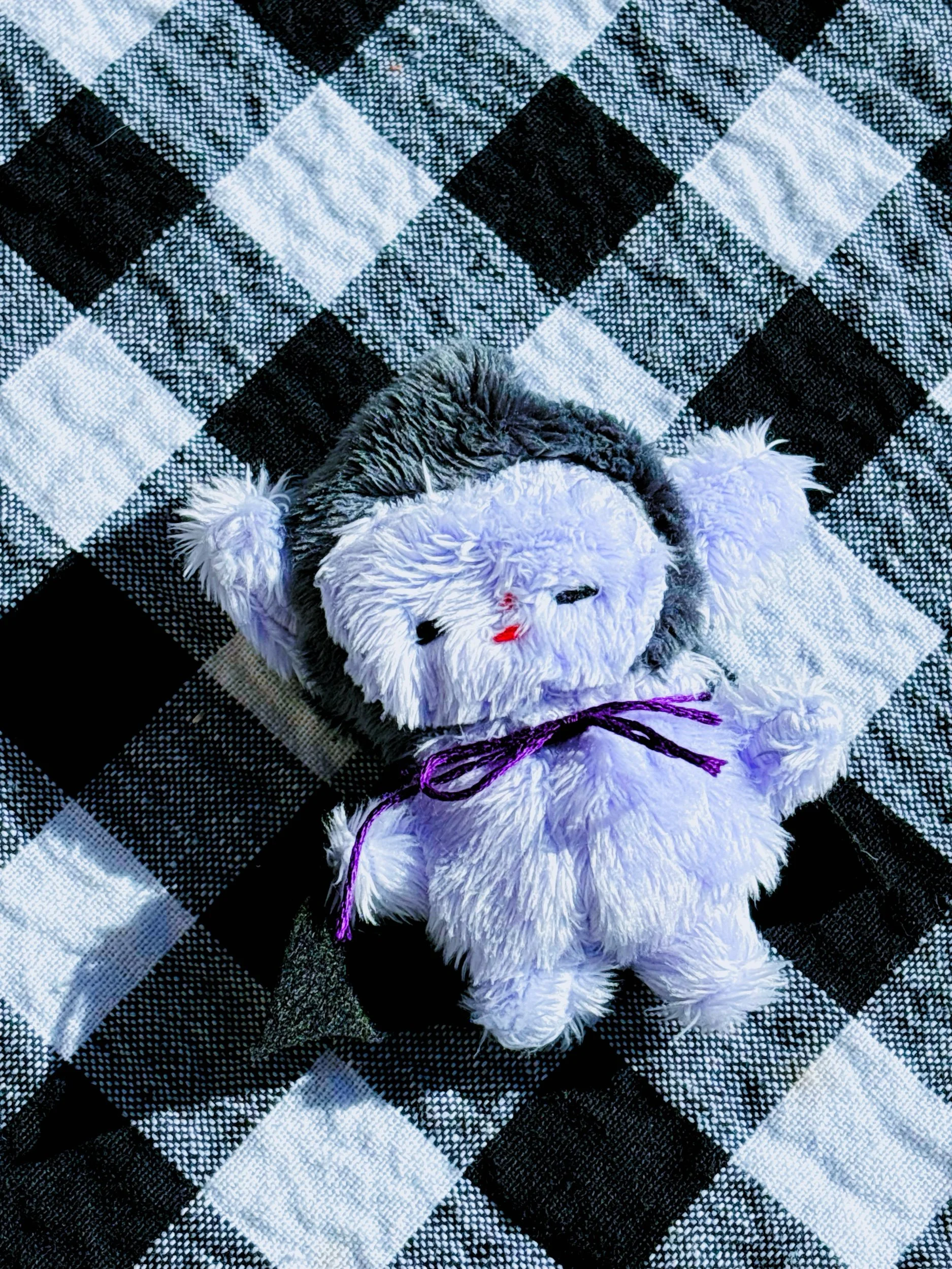 970494FA-9E84-46C5-B0C3-5B332E783F36.jpeg