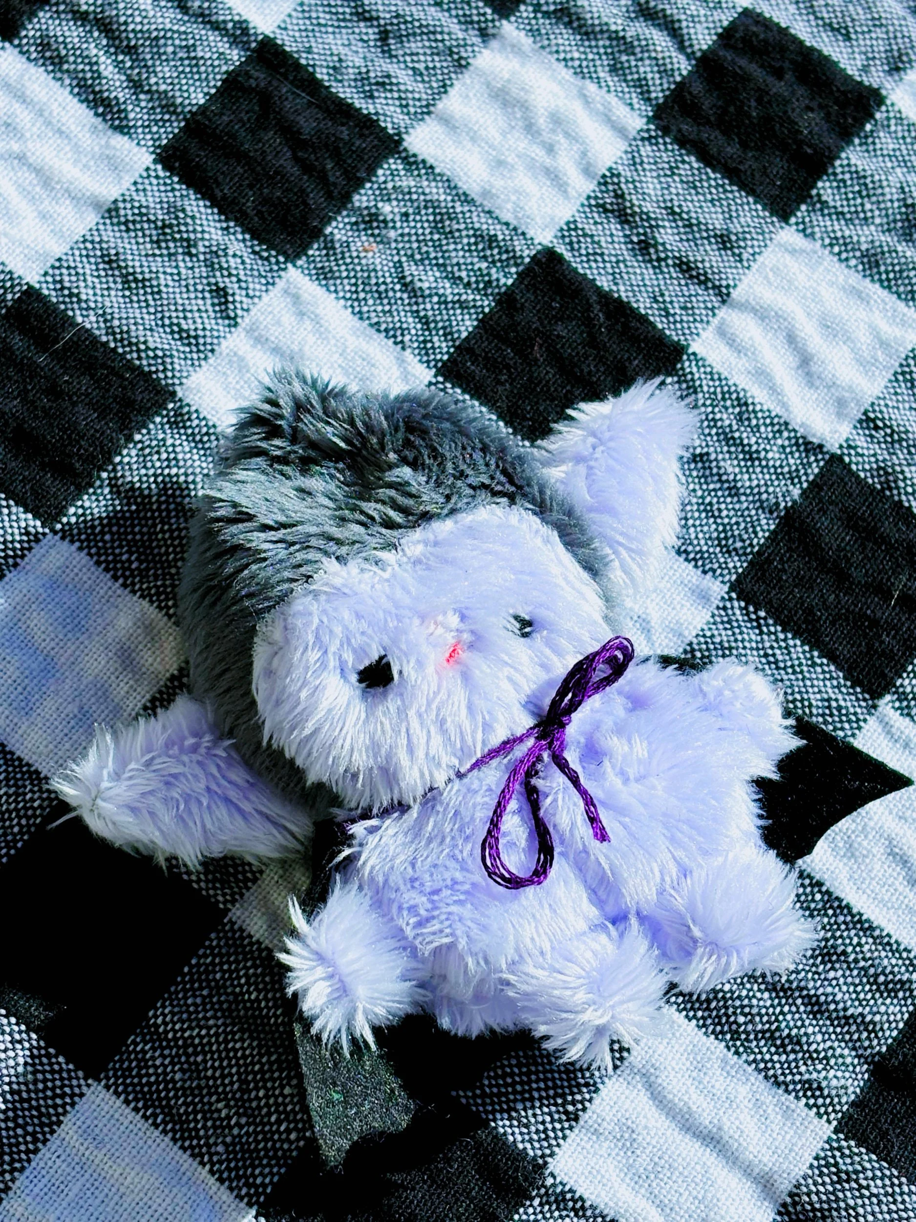 A85E87AB-61CA-461C-84B8-785B4DF387E1.jpeg