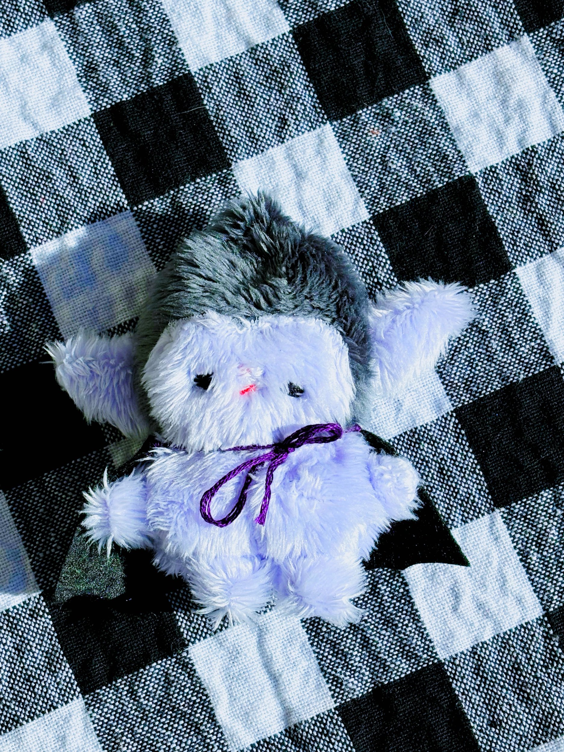 8002A619-814F-4C9C-A6CC-F6C578E8EEF9.jpeg