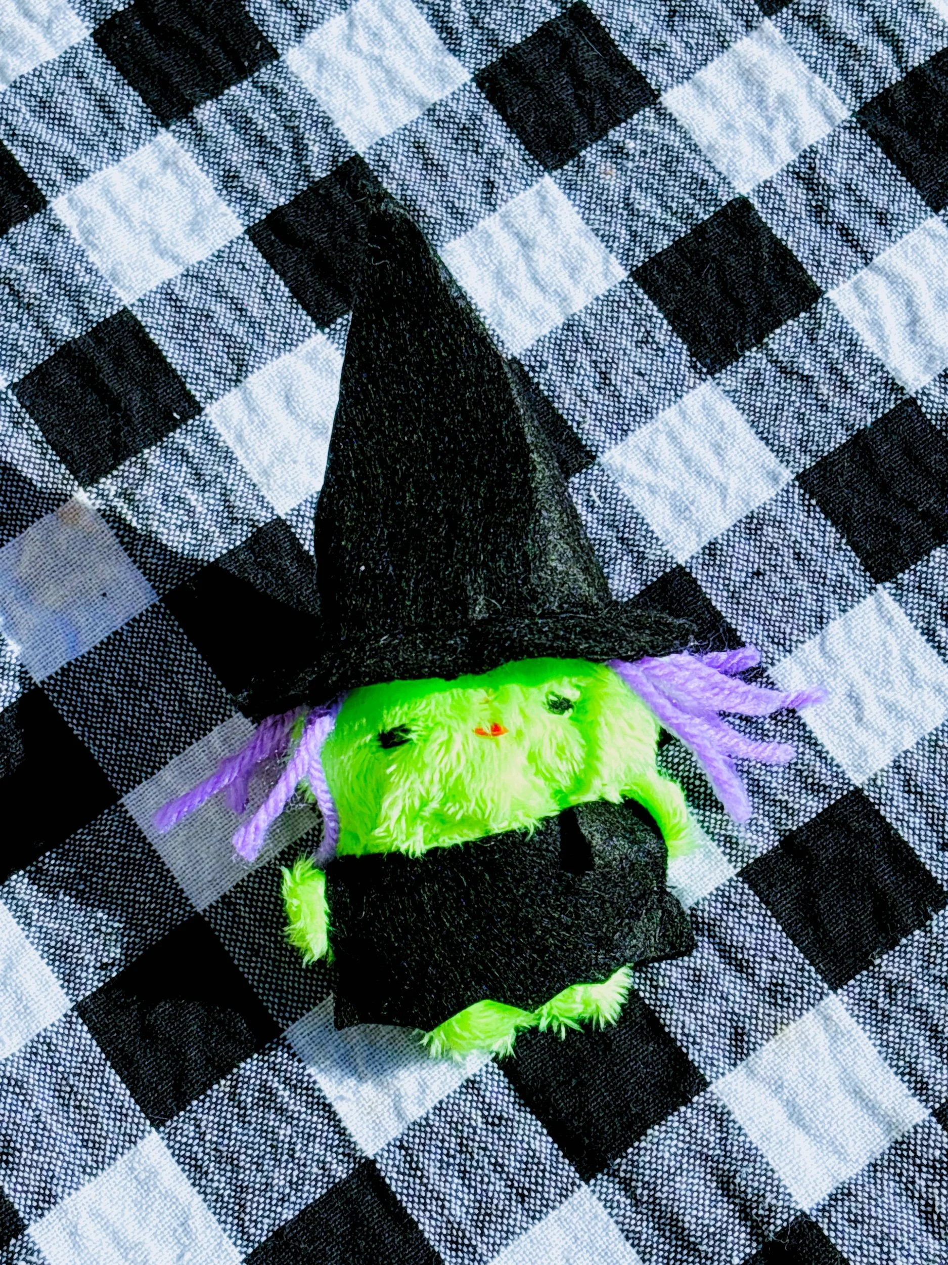 085A7DD0-D30E-4ABA-924A-C586A89858CE.jpeg