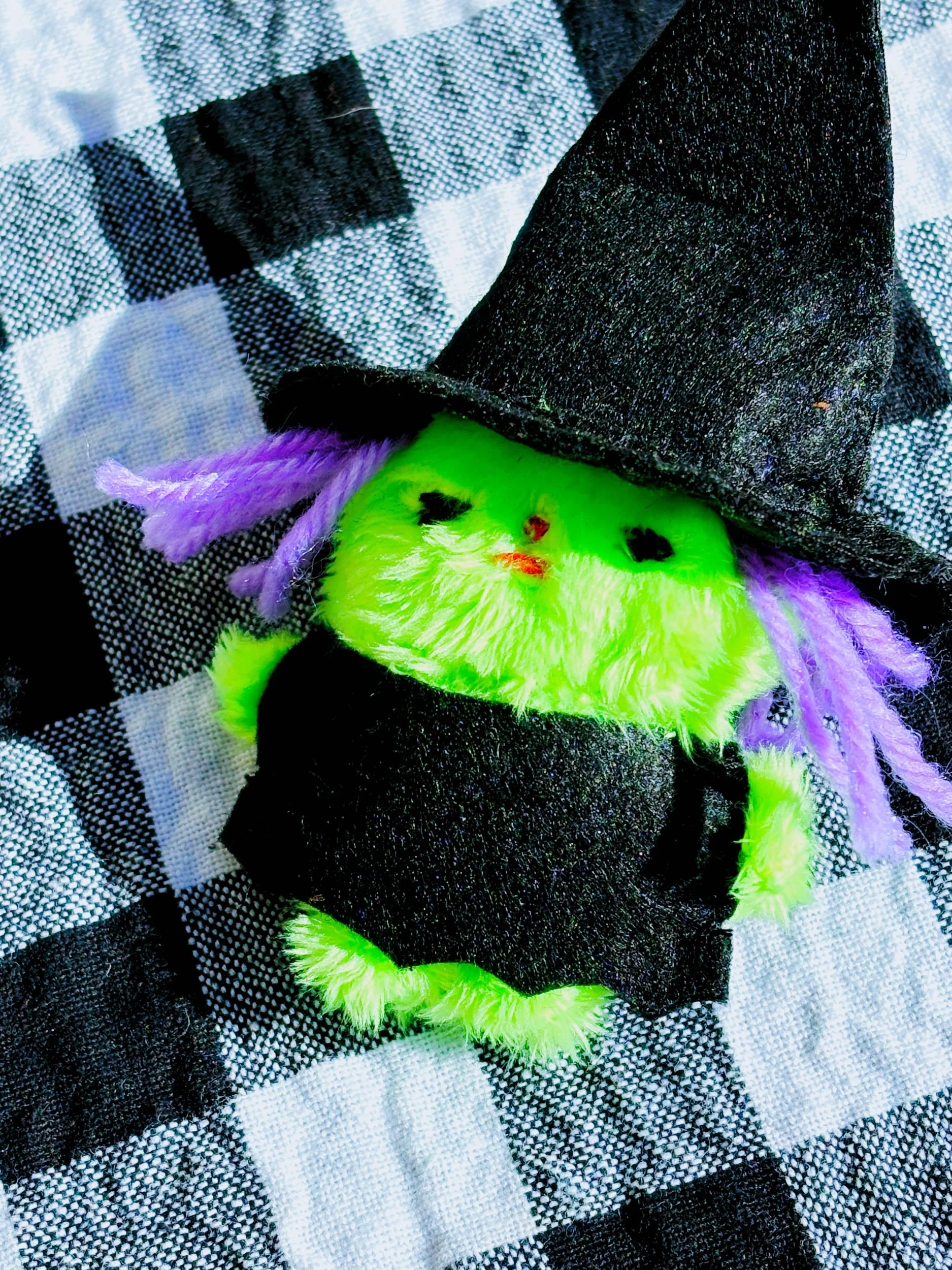 7B95AE75-56C1-4D4B-BF41-0C7C908D66C5.jpeg