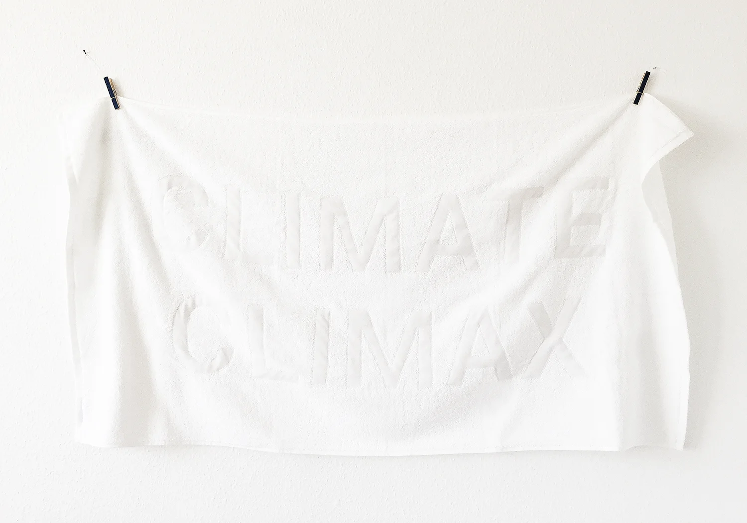 CLIMATE-CLIMAX_WALL_02.jpg