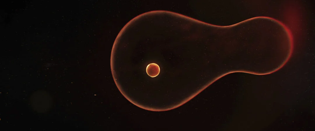 z2 trailer_0015.jpg
