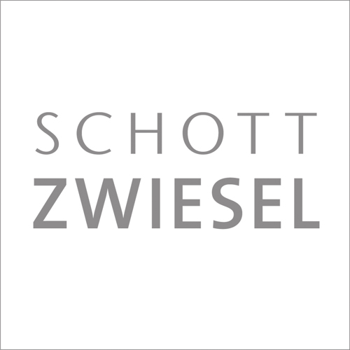 Schott Logo_.jpg