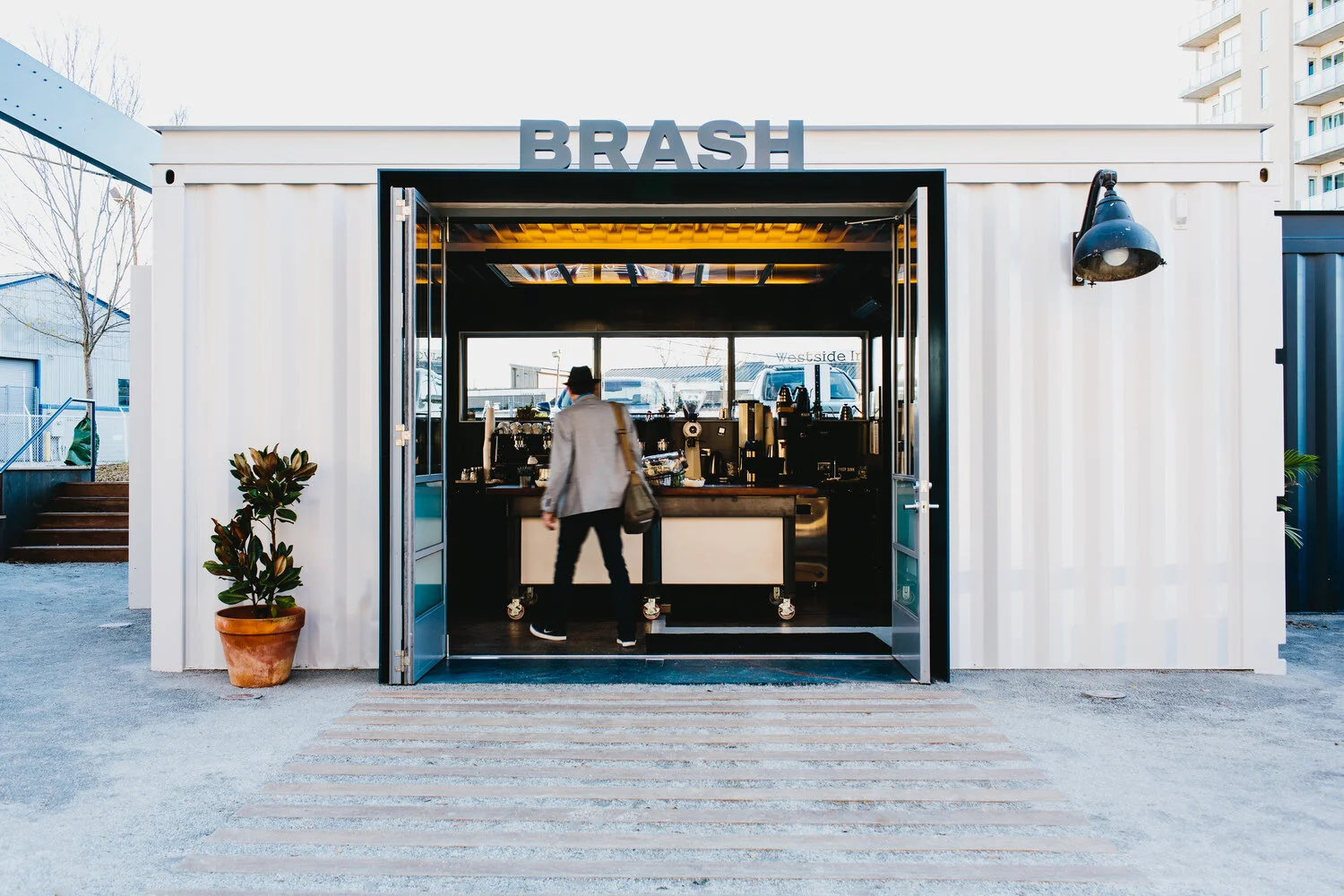 brash_final_0002.jpg