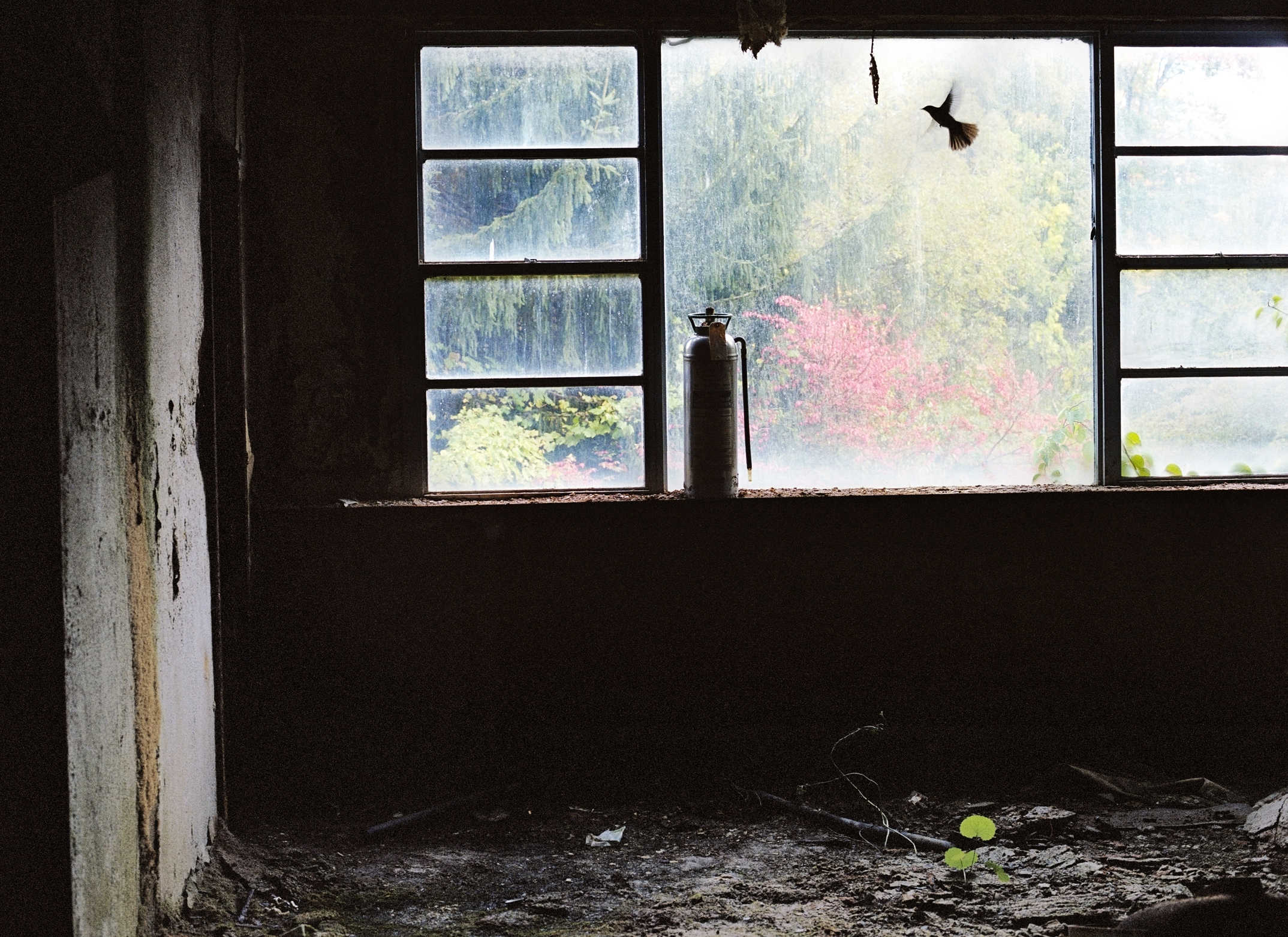 Guest Room, Grossinger's Catskill Resort and Hotel, Liberty, NY, Chromogenic Print