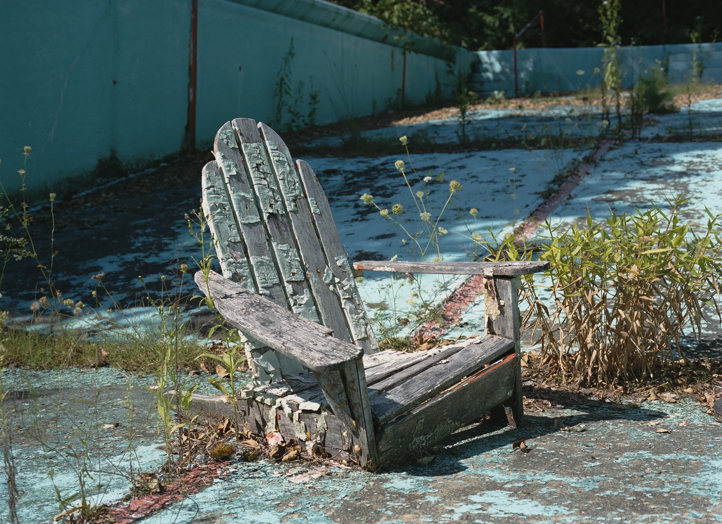 Outdoor Pool, Vegetarian Hotel, Woodridge, NY, Chromogenic Print