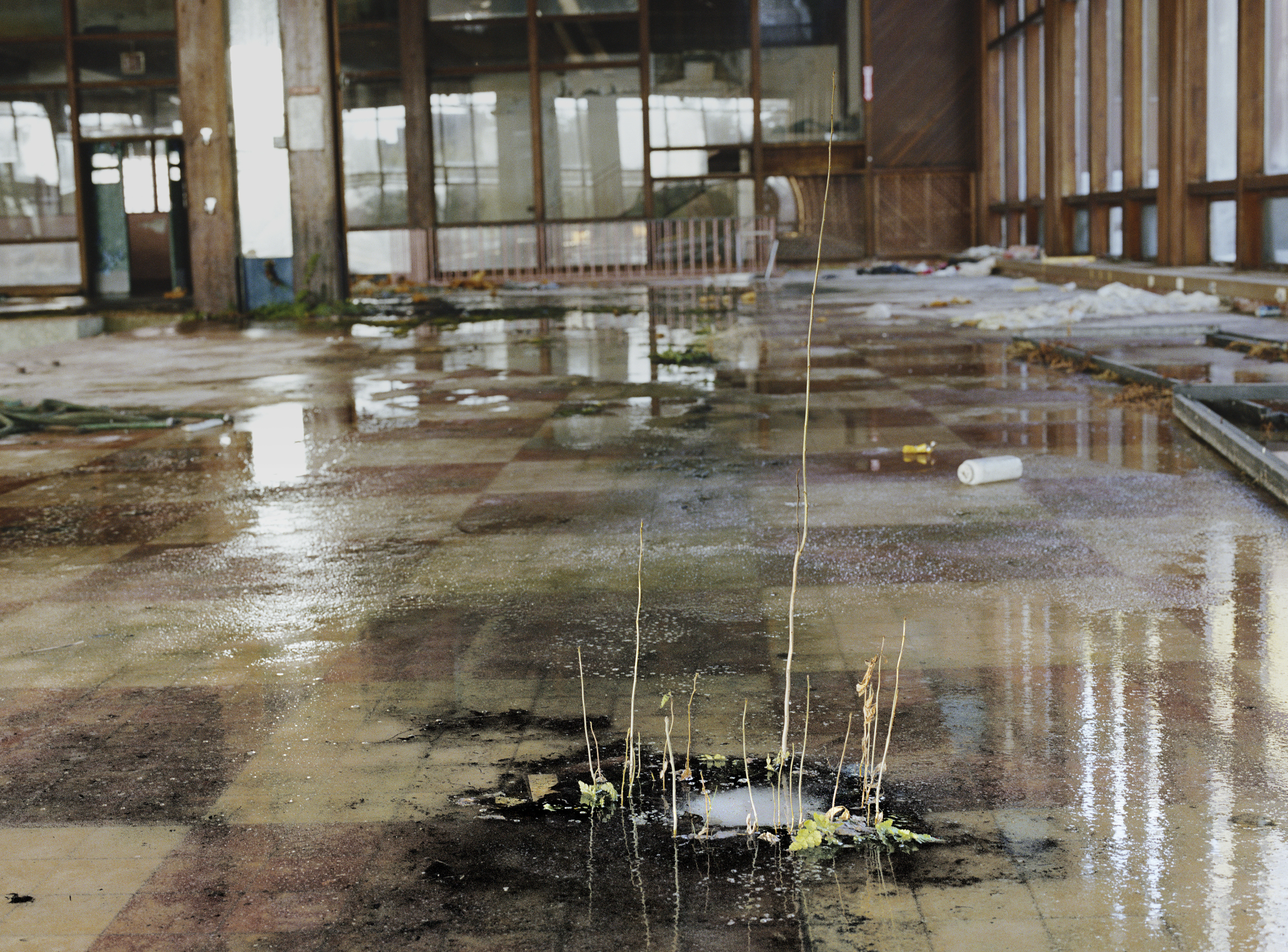 Indoor Pool, Grossinger's Catskill Resort and Hotel, Liberty, NY, Chromogenic Print