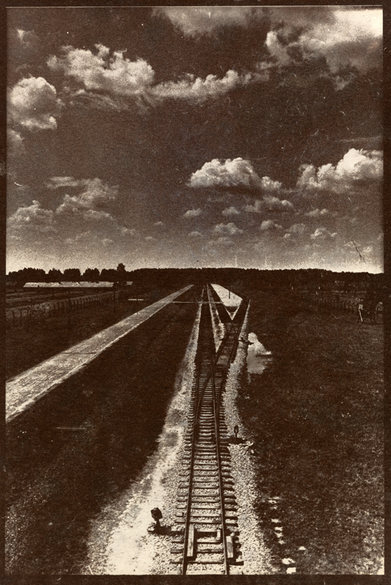 Auschwitz, Van Dyke Print