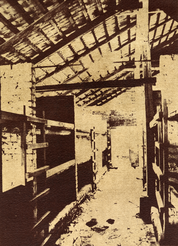 Auschwitz, Van Dyke Print