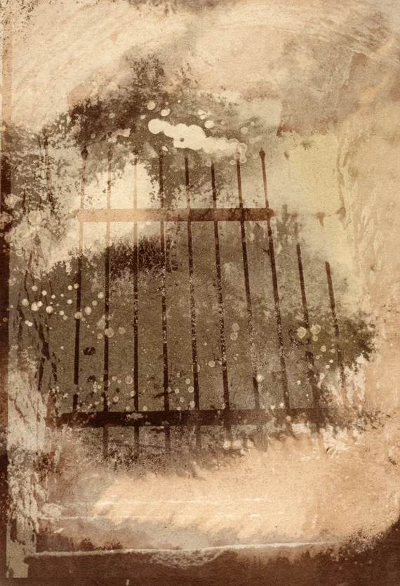 Auschwitz, Van Dyke Print