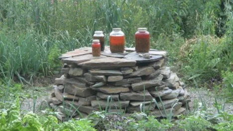jars.jpg