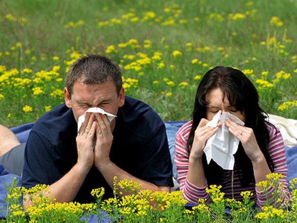 allergy.png