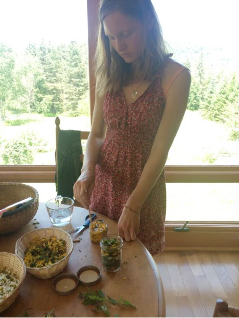 Spring Herb Class | Sunday, May 20th