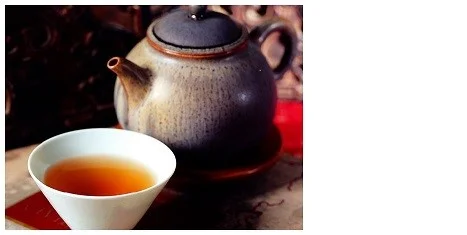 Kimberly Hotelling Winter Wellness Series
