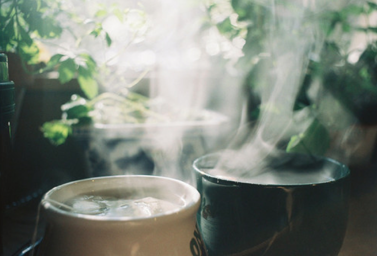 Herbal Winter Wellness Series | Oct 2018