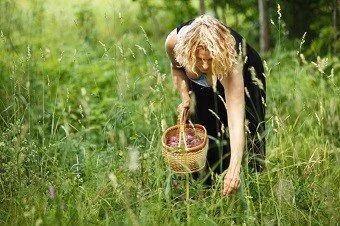 foraging.jpg