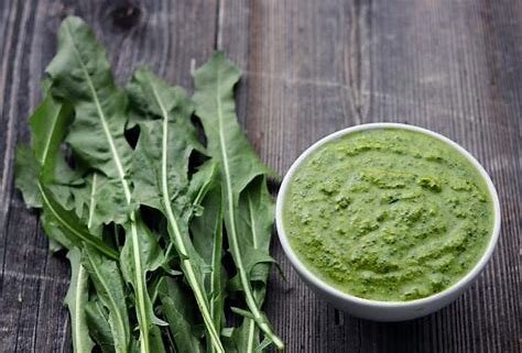 dandelion pesto.jpg