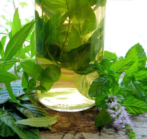 bigger making herbal remedies.jpg