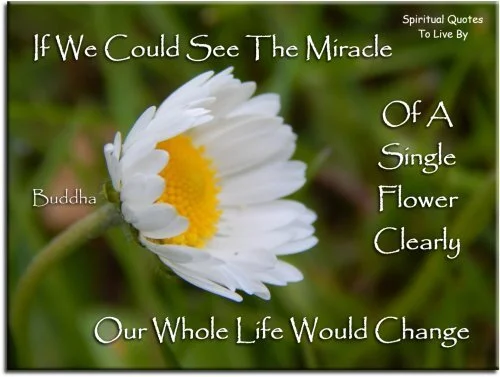 -if we could see the miracle.jpg