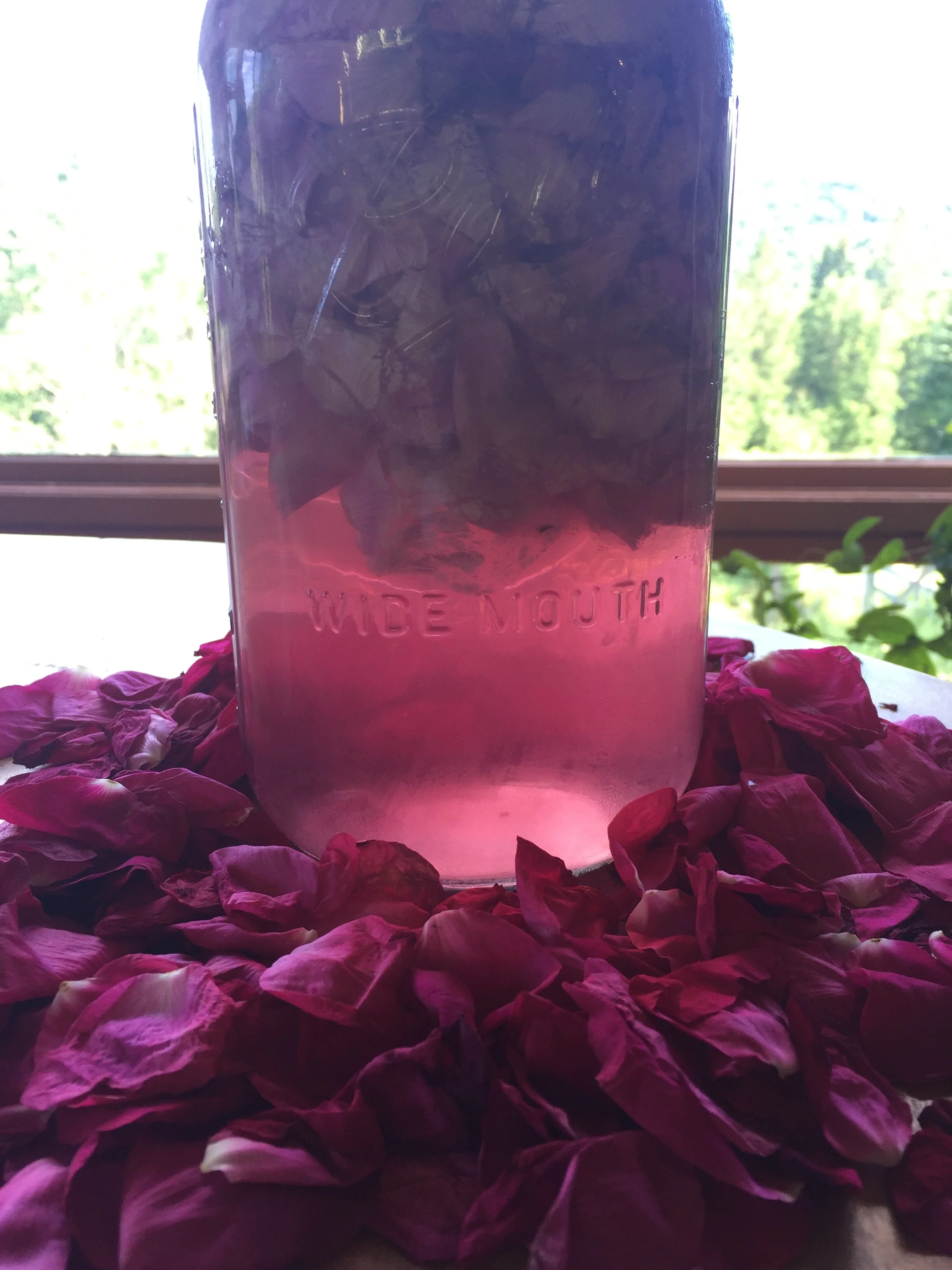 rose potion brewing.JPG
