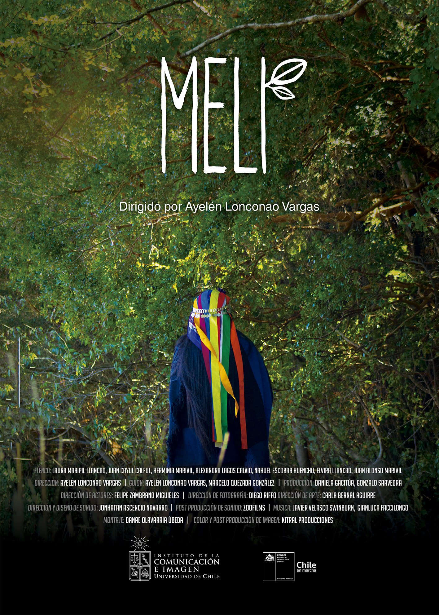 Ayelen Lonconao - Film Poster.jpg