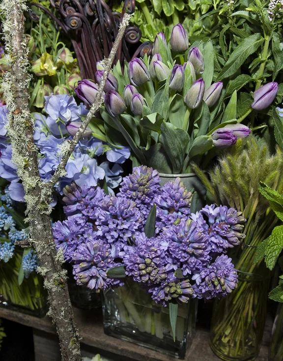 FLORA4.jpg