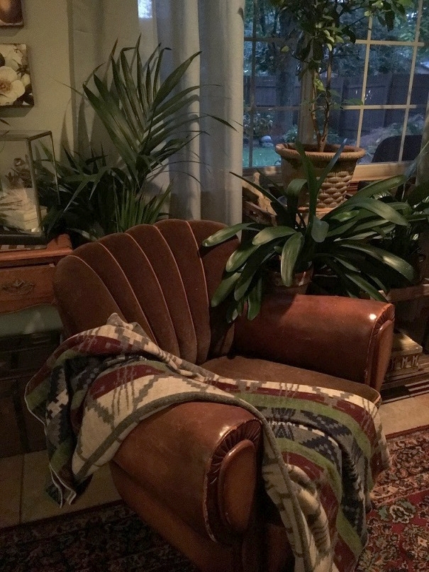 I nestle my favorite chair, throw my favorite wool blanket over the back, making the perfect place to read, or just rest and reflect.