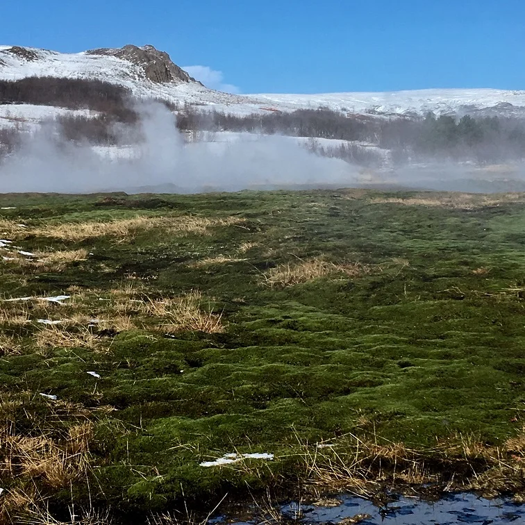 Iceland 3.jpg