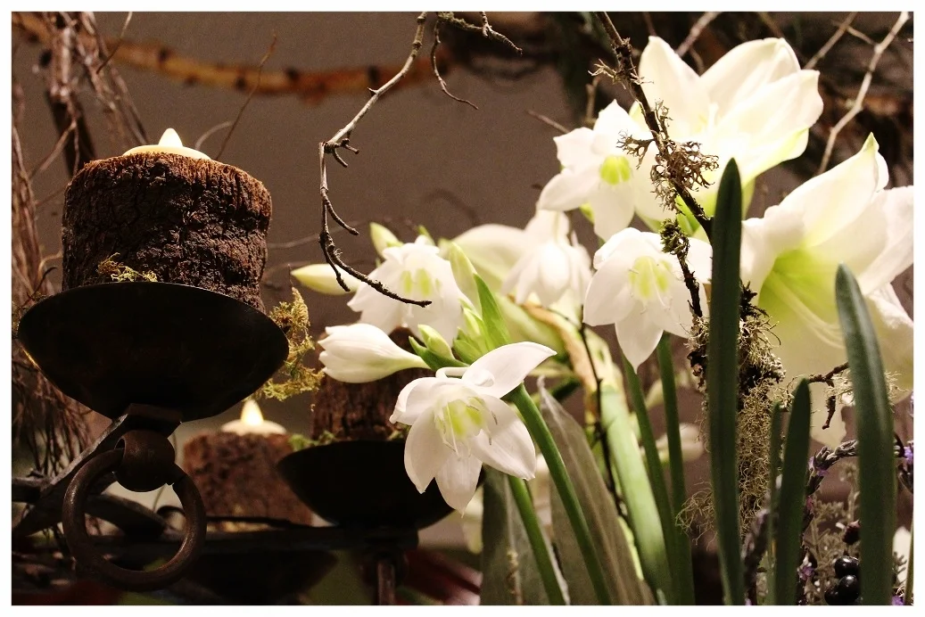 EVENTS — morning sun