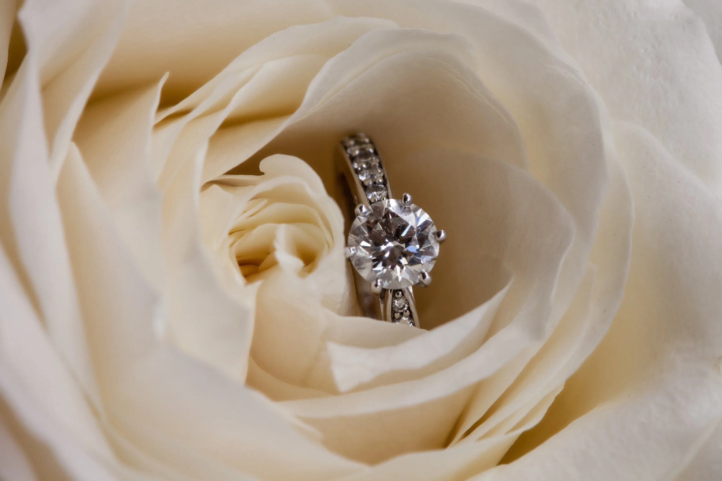 Wayne Hudson Photography, Lucria Creative, Cornwall and Devon wedding photographer based in Launceston