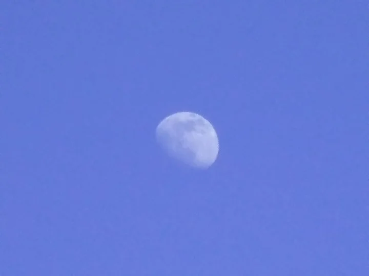 c-dscn054-daymoon.JPG