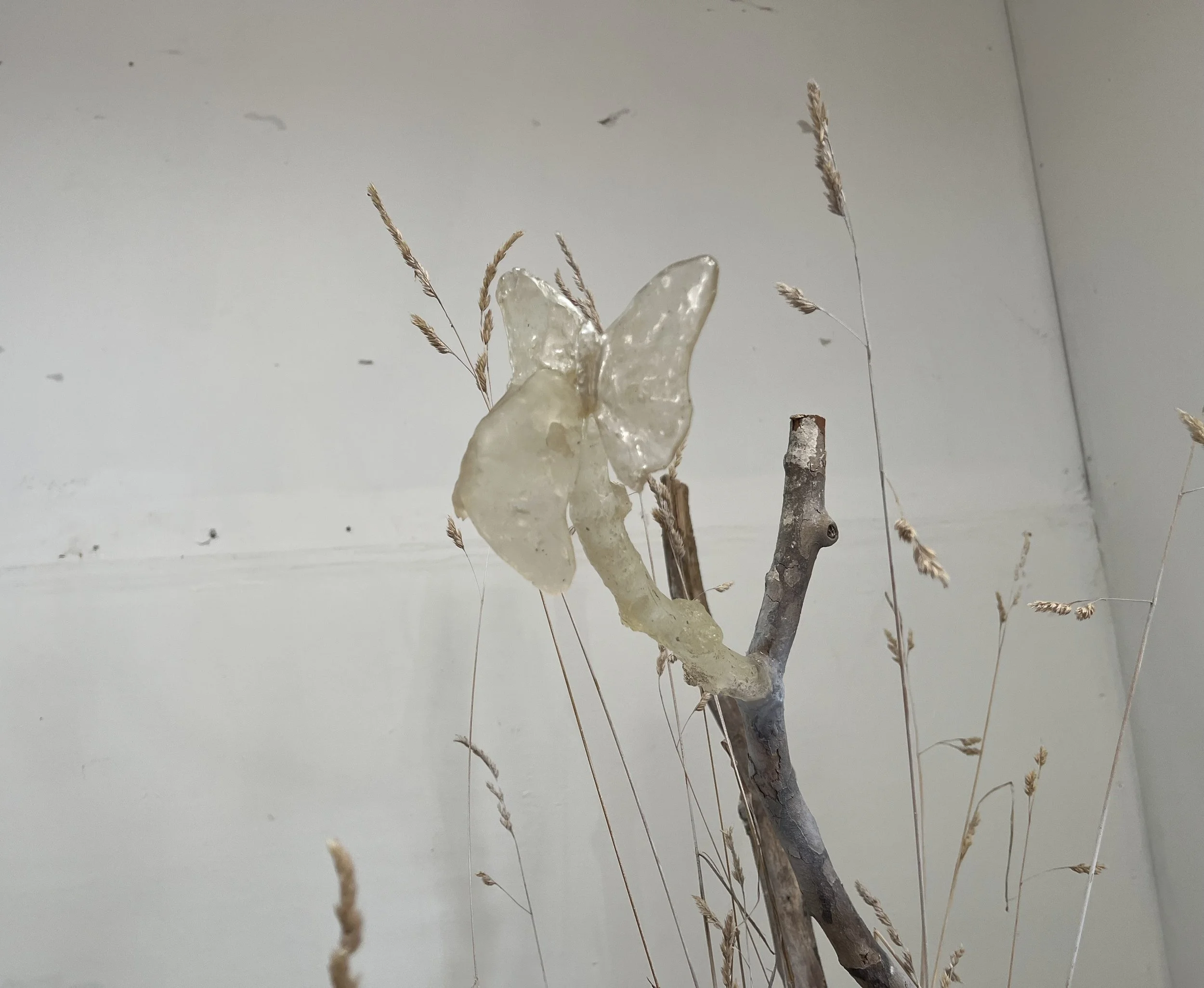 IMG-5426.jpg