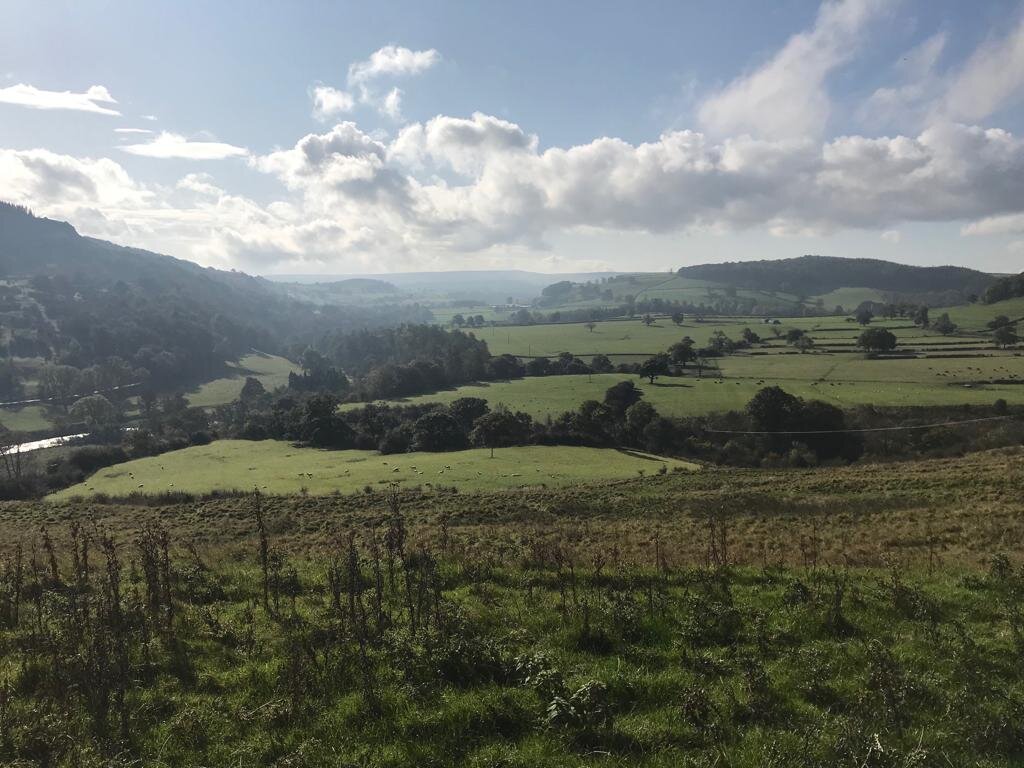 Looking back to Reeth
