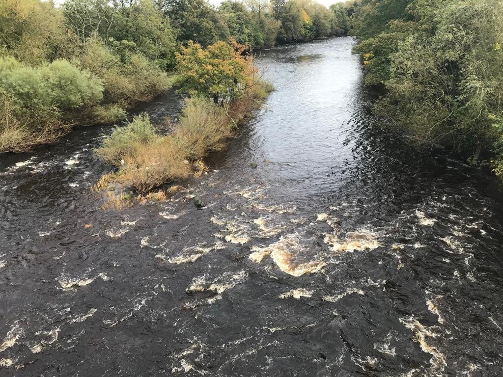 The Swale from Catterick Bridge