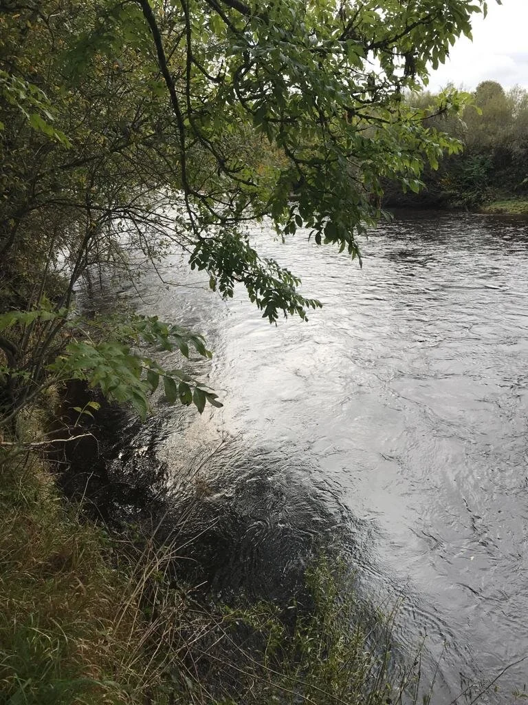 Goodbye to the Swale
