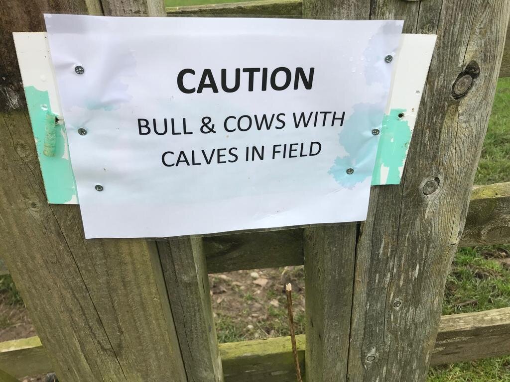 Slightly apprehensive!
