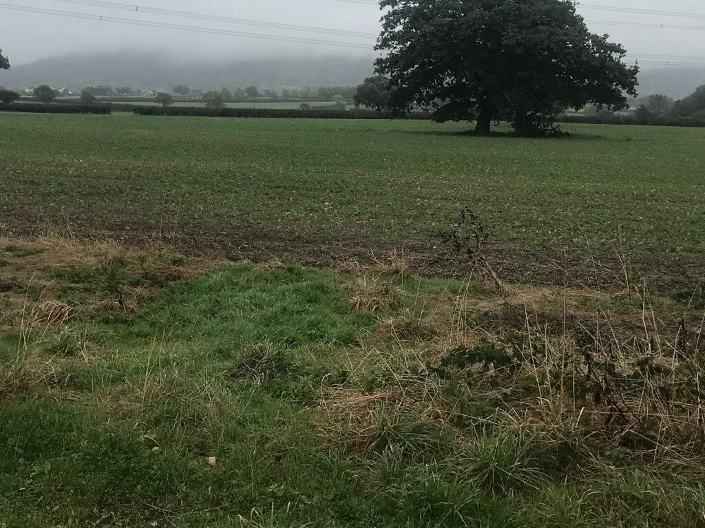 Yes, it’s a hill in the distance!