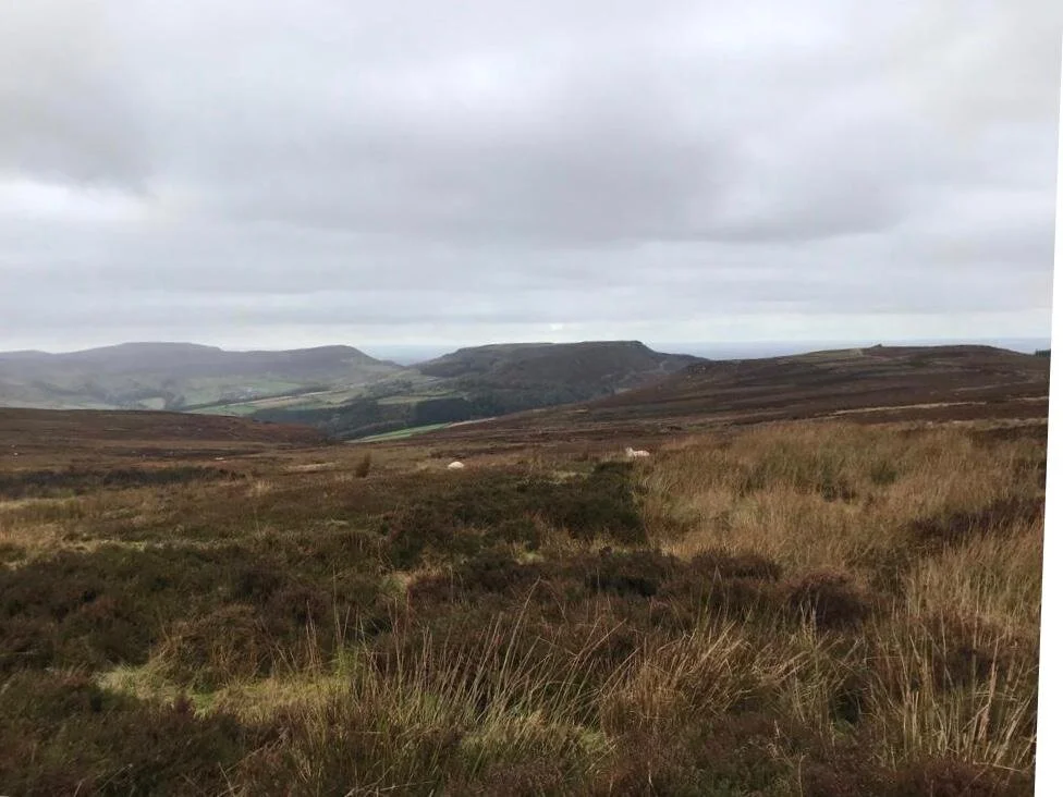 The previous ten miles. Believe me - they are higher than they look!
