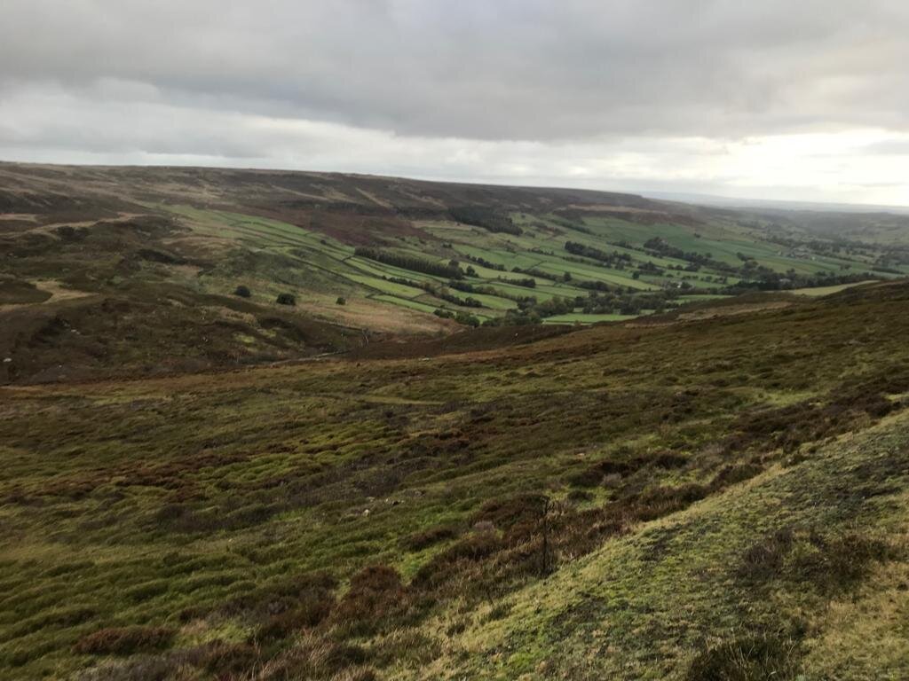 Another typical view