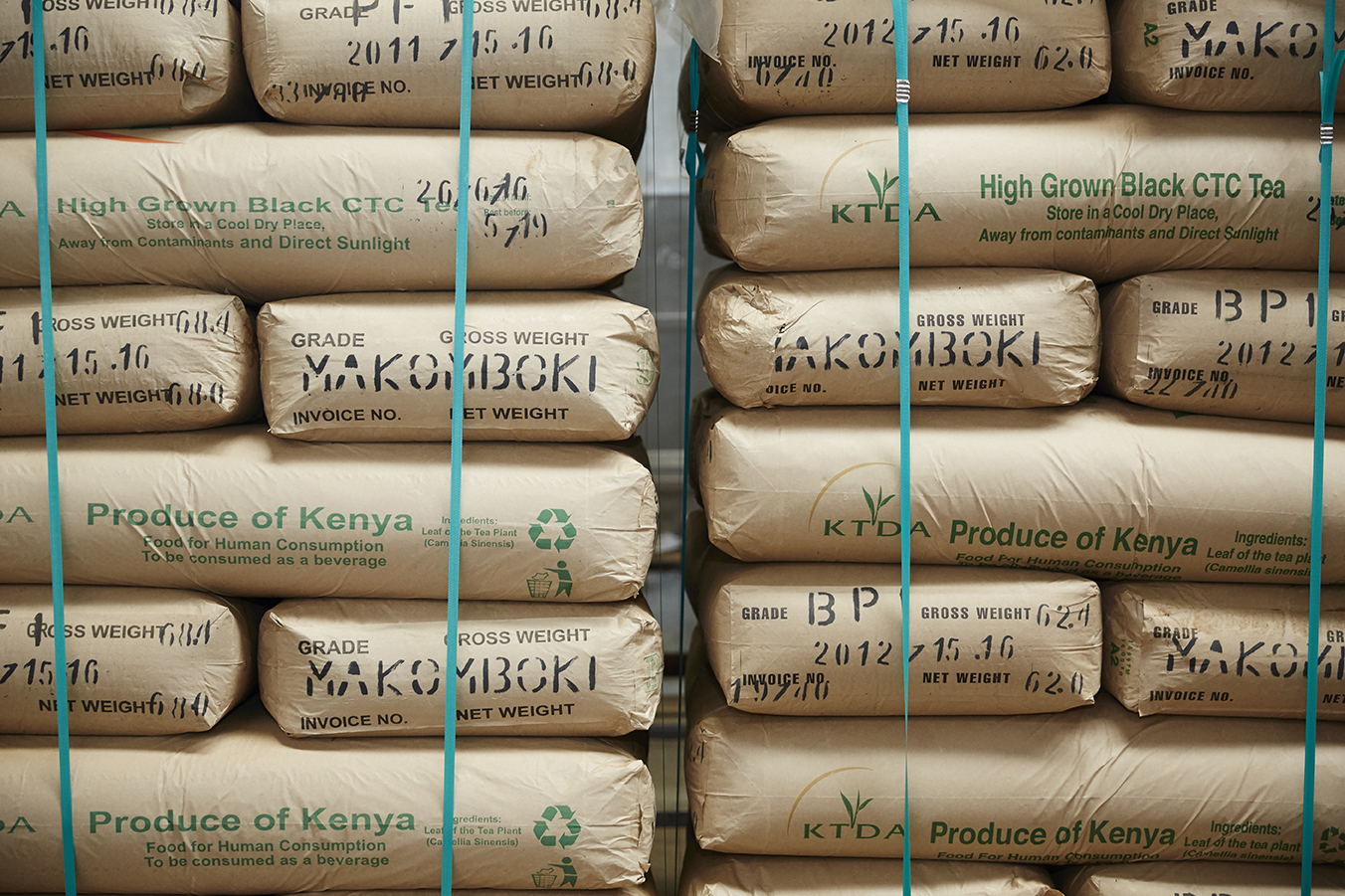 95% of Makomboki's tea is exported worldwide. 