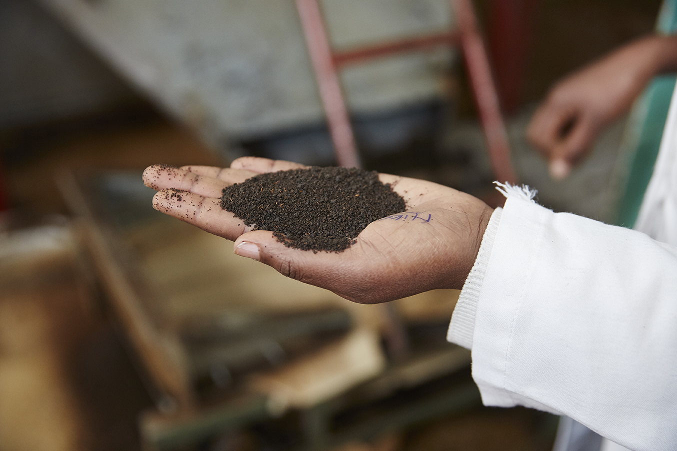 ried tea s checked for grade and quality