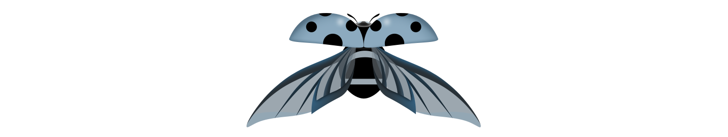 ladybug-bug.jpg