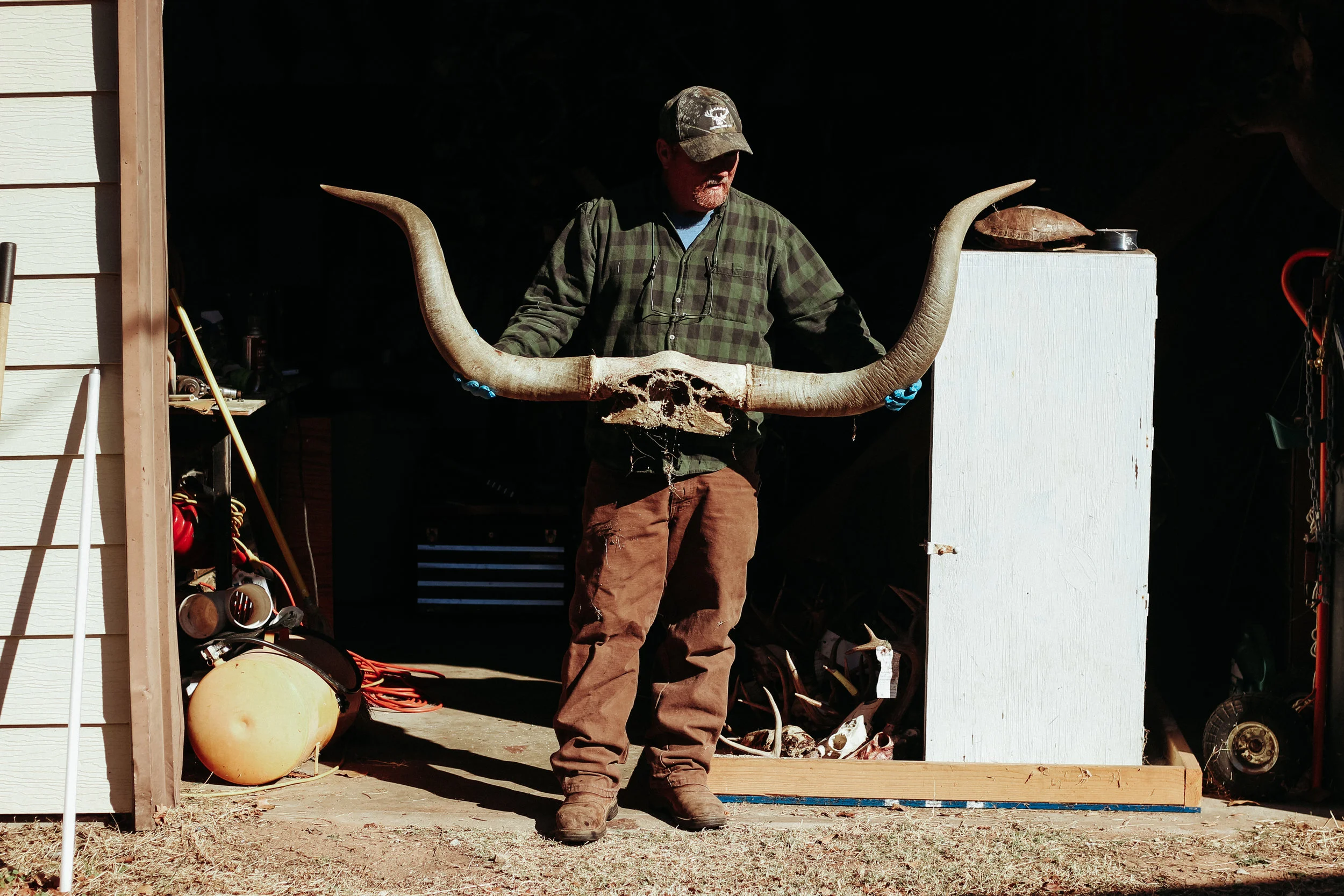 Sherman holds a set of longhorn horns for an upcoming mount. "Tell them it's Bevo," he said.