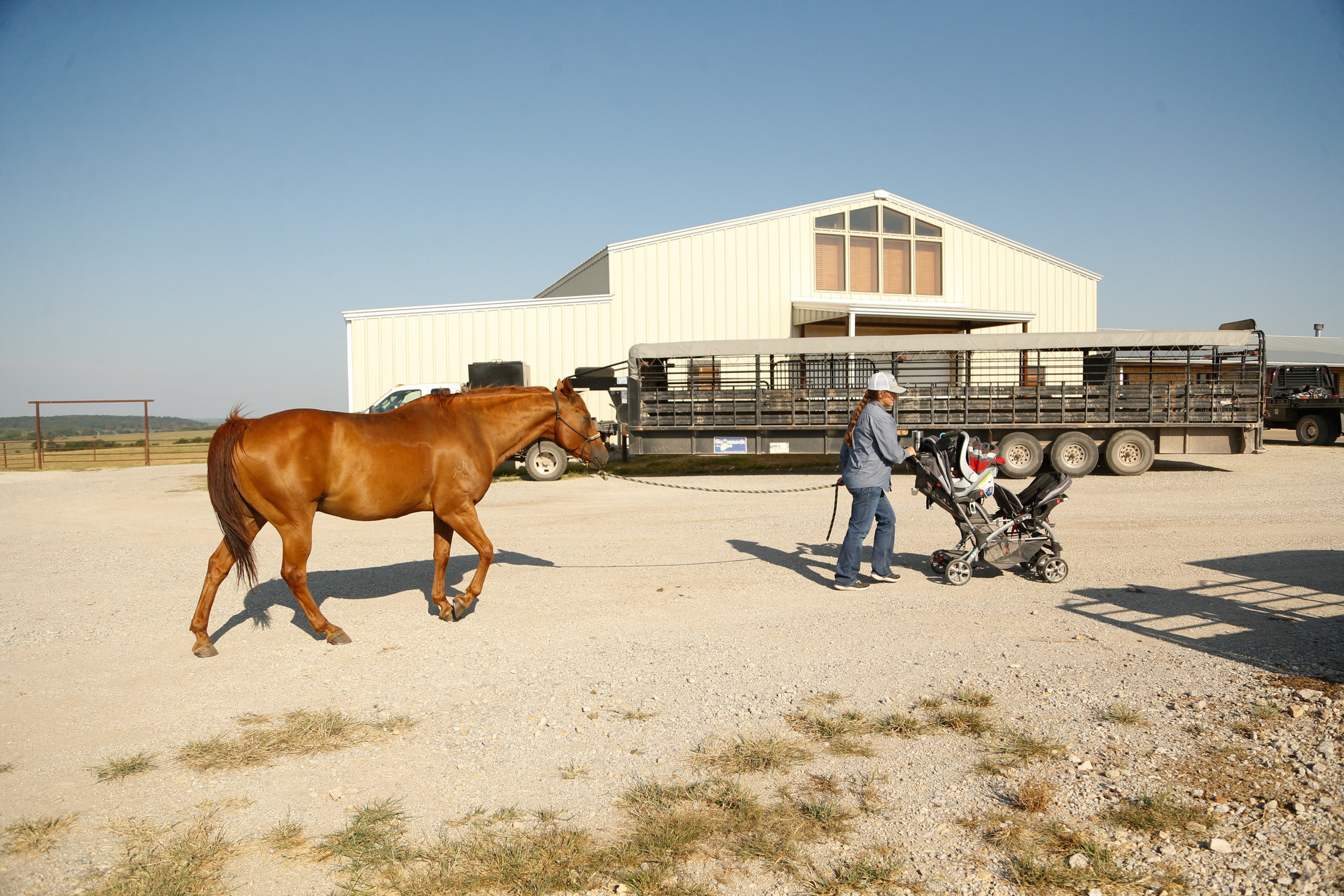 2-year-old Sonora Stierwalt holds a horse's lead rope while her mother fetches a saddle at Stierwalt Ranch in Burbank, Oklahoma.